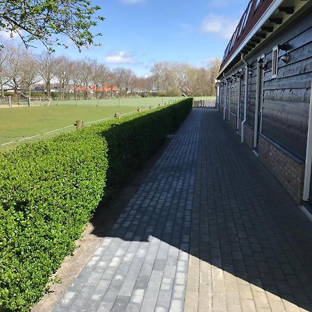 Vakantiewoningen De Schelp Renesse Dış mekan fotoğraf