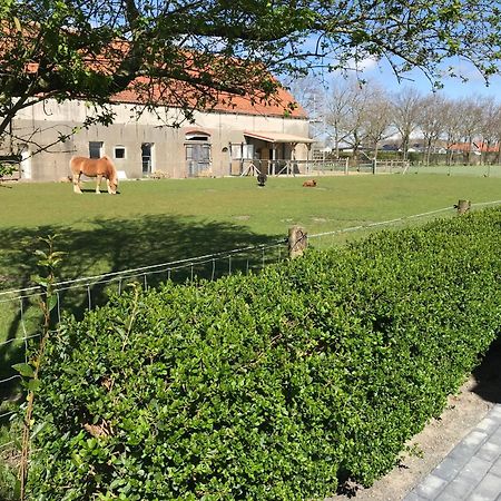 Vakantiewoningen De Schelp Renesse Dış mekan fotoğraf
