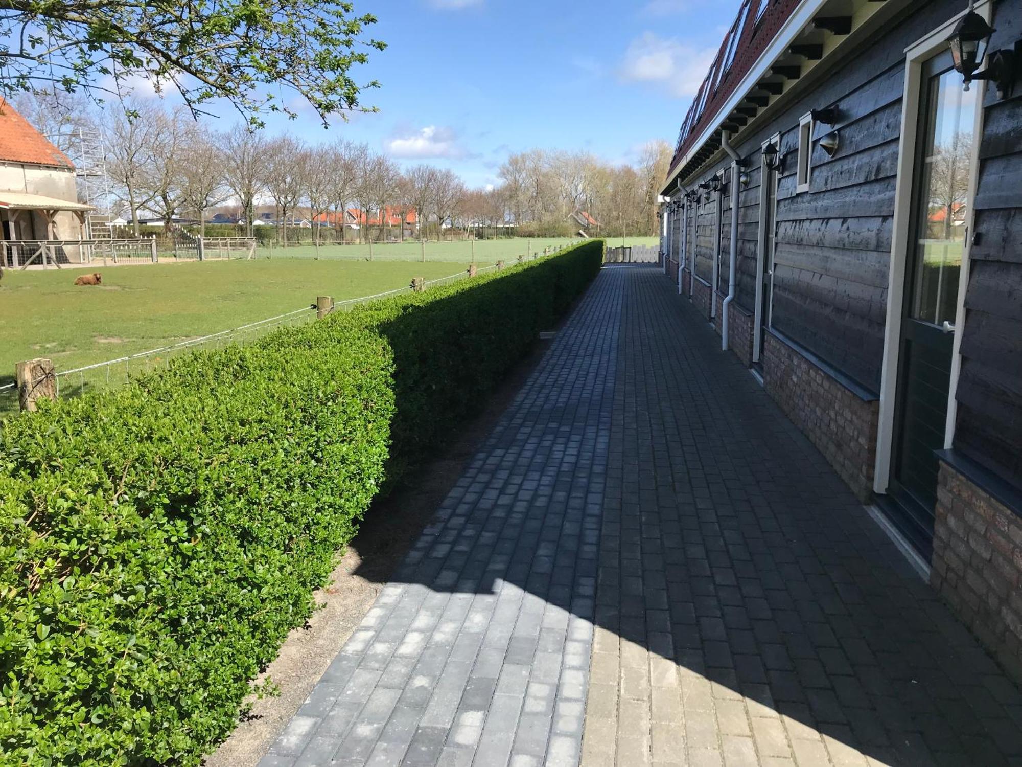 Vakantiewoningen De Schelp Renesse Dış mekan fotoğraf
