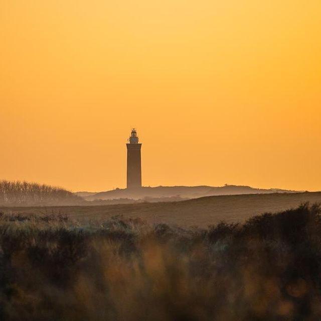 Vakantiewoningen De Schelp Renesse Dış mekan fotoğraf