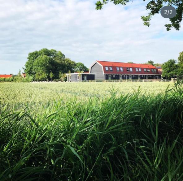 Vakantiewoningen De Schelp Renesse Dış mekan fotoğraf