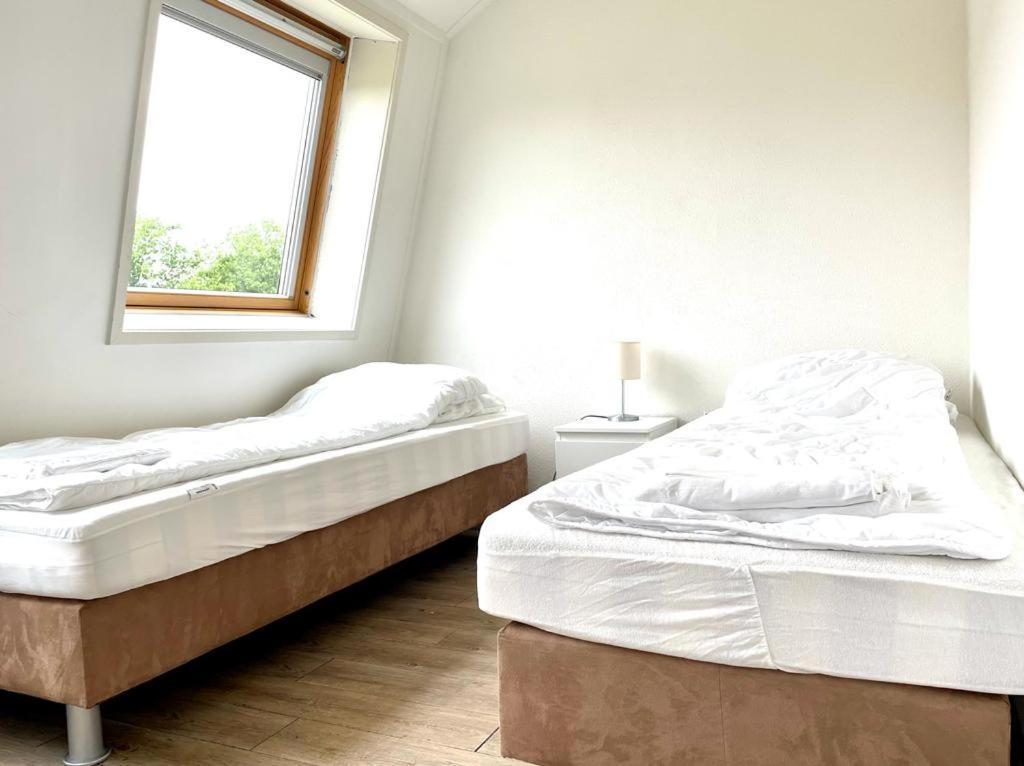 Vakantiewoningen De Schelp Renesse Dış mekan fotoğraf