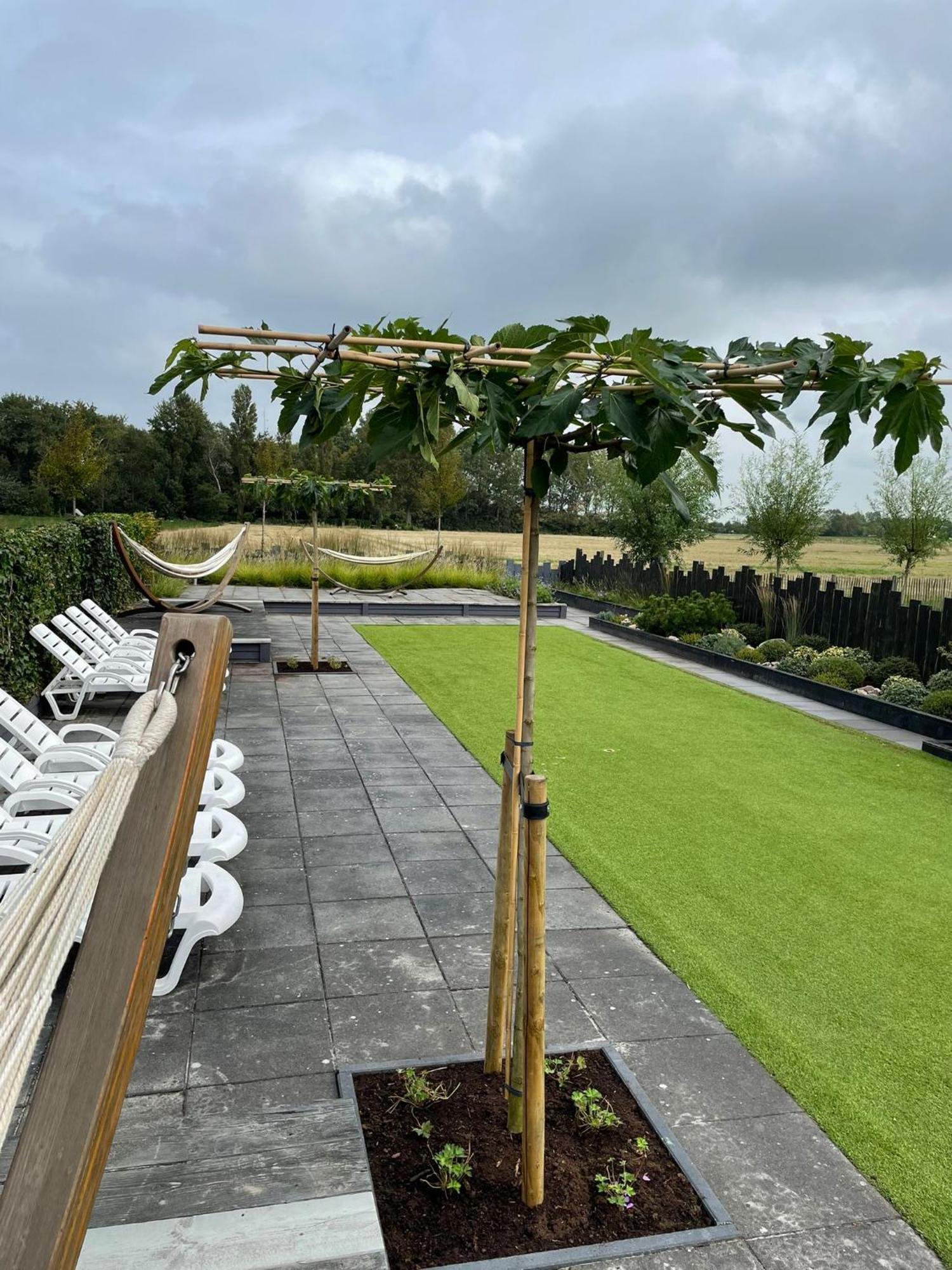 Vakantiewoningen De Schelp Renesse Dış mekan fotoğraf